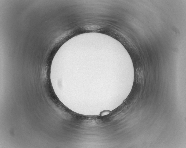 X0000115230404200911271827