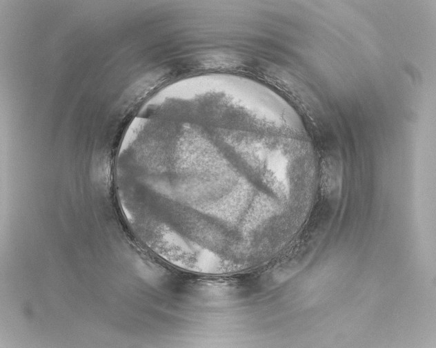 X0000115230405200911271827