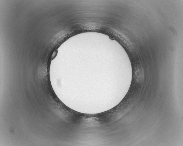 X0000115230407200911271826