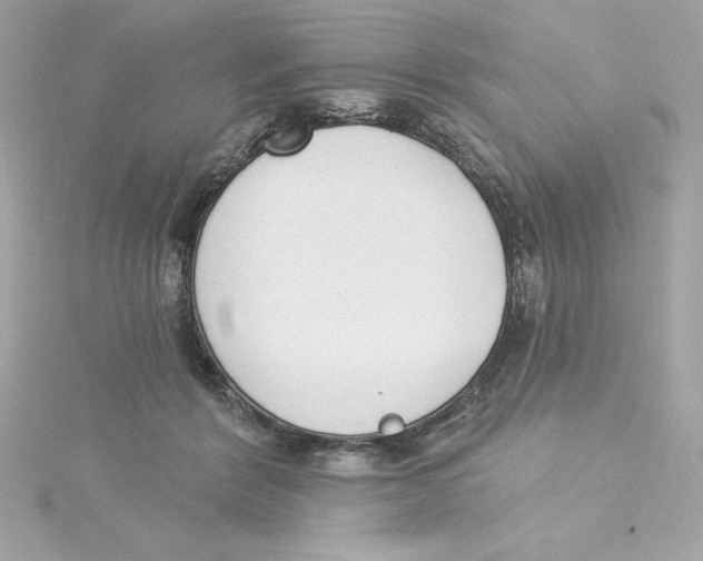 X0000115230412200911271826