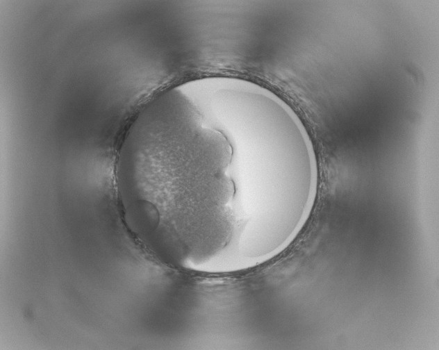 X0000115230415200911271826