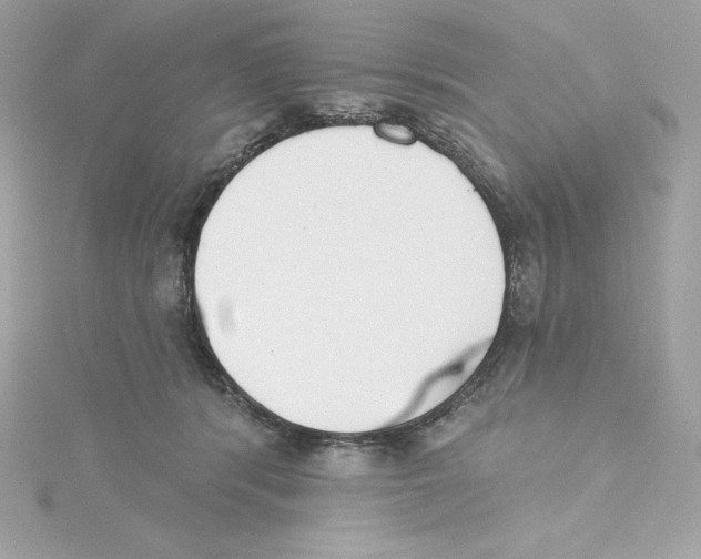 X0000115230416200911271826