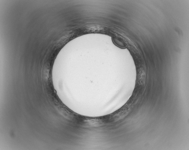 X0000115230417200911271826