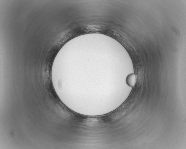 X0000115230418200911271826