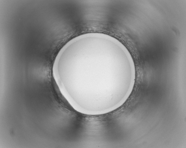 X0000115230419200911271826