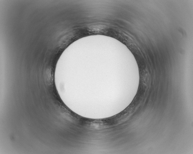 X0000115230420200911271826