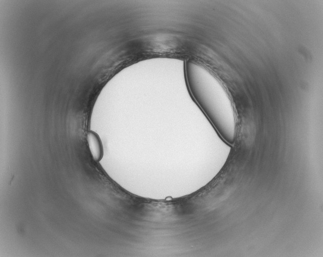 X0000115230421200911271826