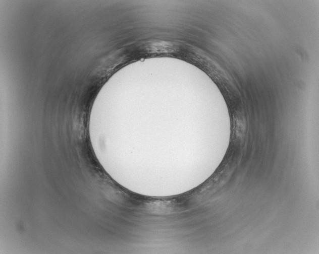 X0000115230422200911271826