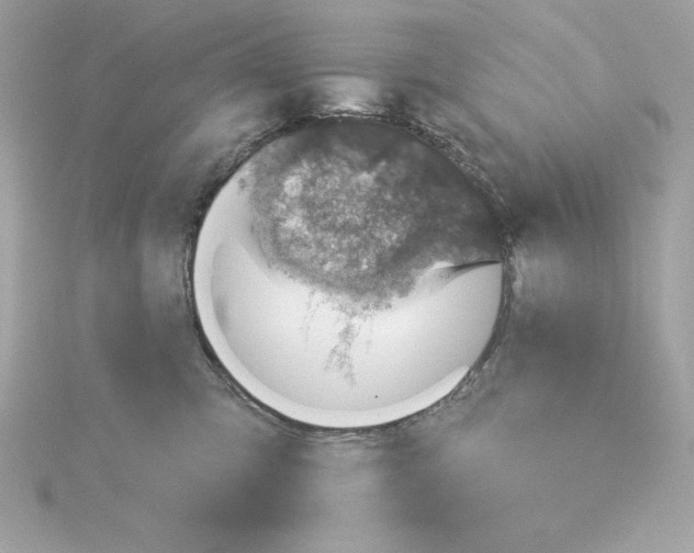 X0000115230423200911271826