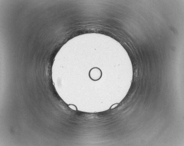 X0000115230424200911271826