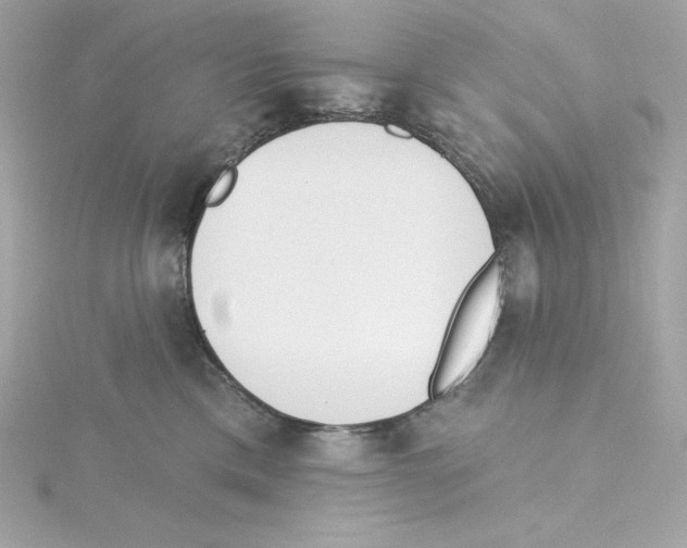 X0000115230425200911271826