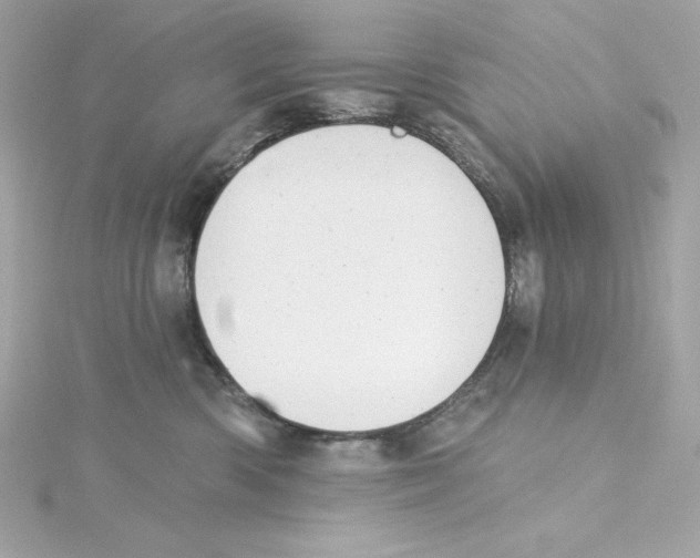 X0000115230426200911271826