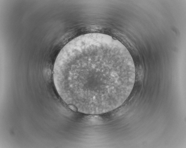 X0000115230427200911271826