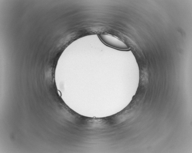 X0000115230428200911271826