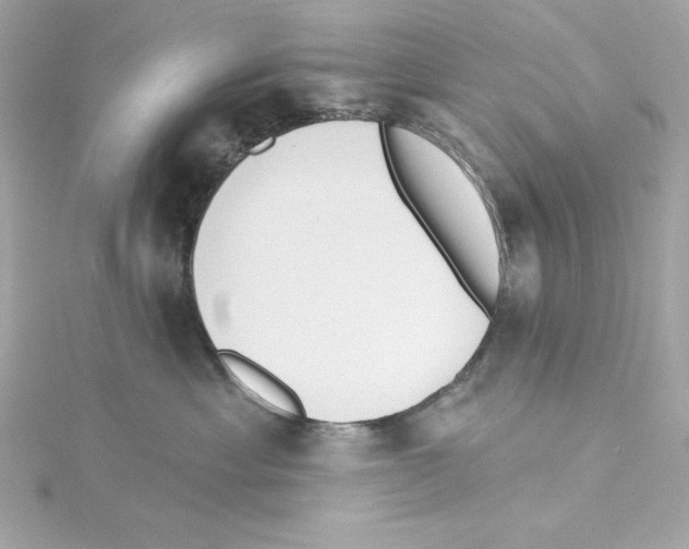 X0000115230429200911271826