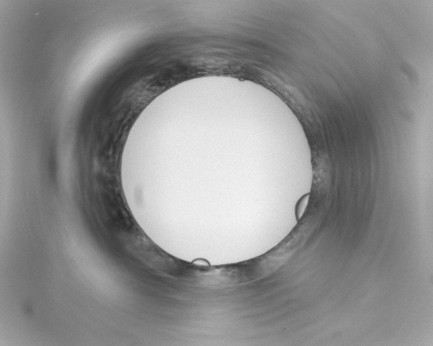 X0000115230430200911271826