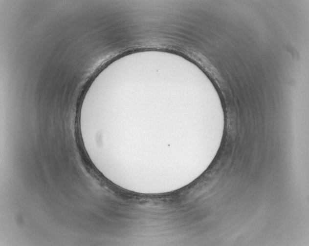 X0000115230434200911271825