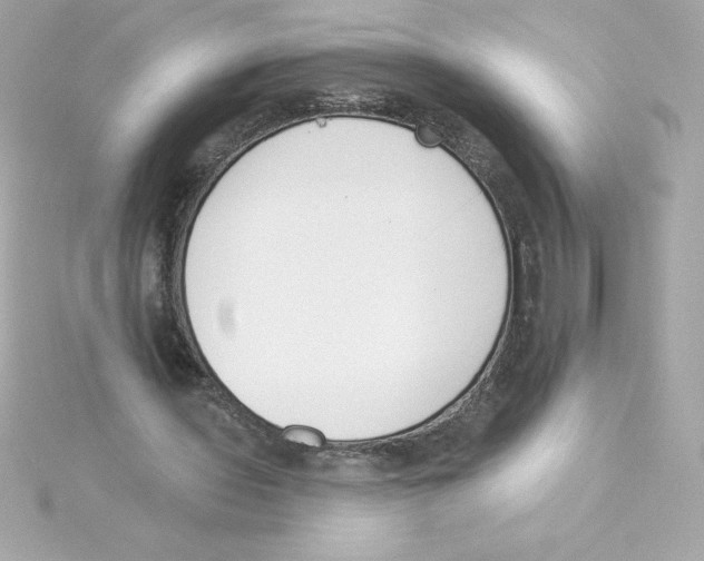 X0000115230435200911271825