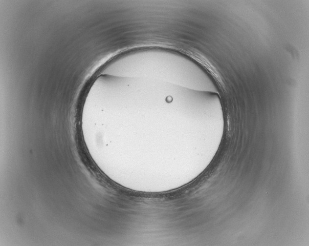 X0000115230436200911271825