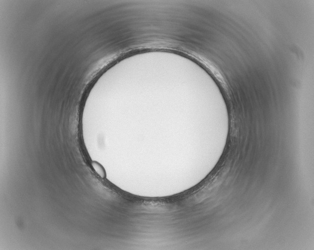 X0000115230437200911271825