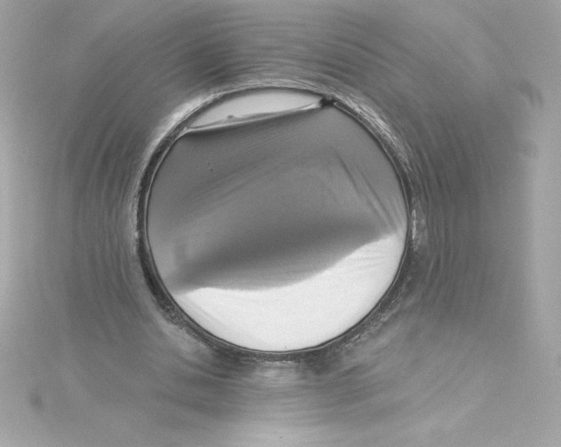 X0000115230438200911271825