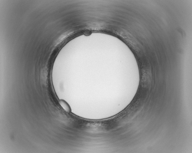 X0000115230440200911271825