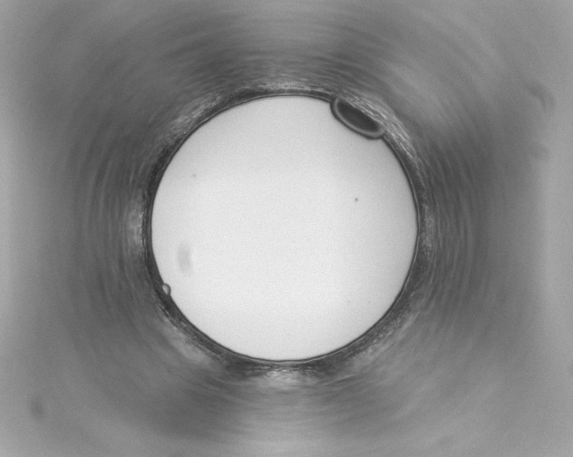 X0000115230441200911271825