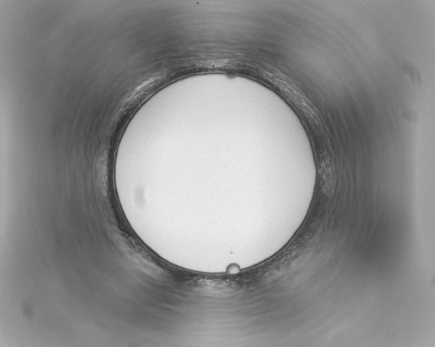 X0000115230442200911271825