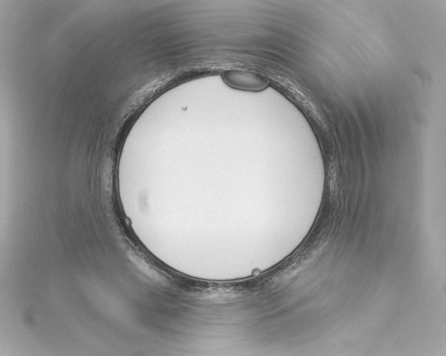 X0000115230445200911271826