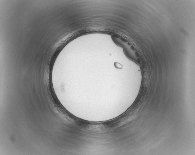 X0000115230446200911271826