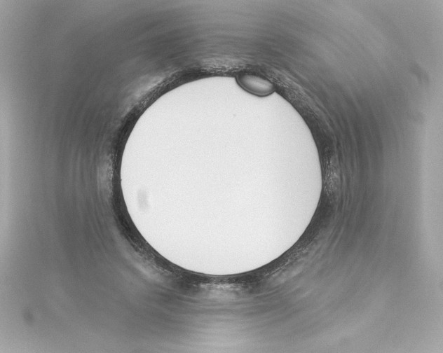 X0000115230448200911271826