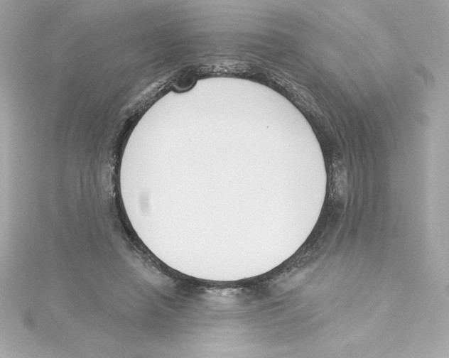 X0000115230450200911271826