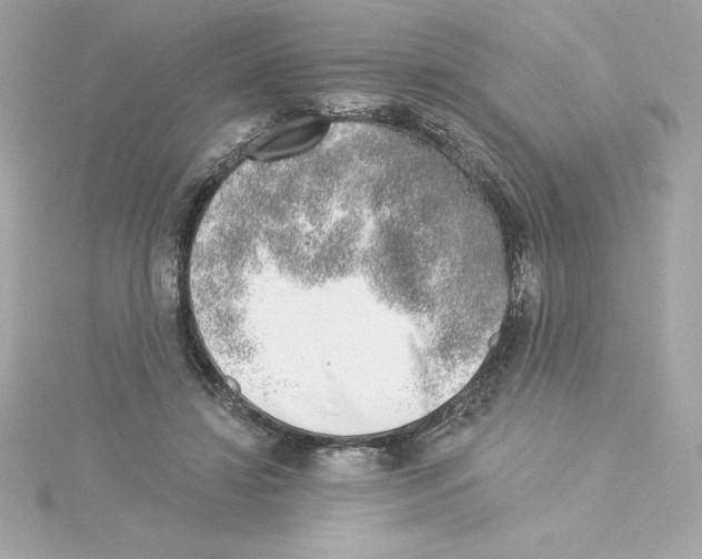 X0000115230452200911271826