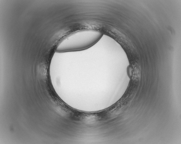 X0000115230456200911271826