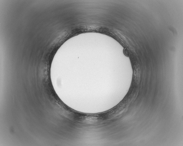 X0000115230462200911271826