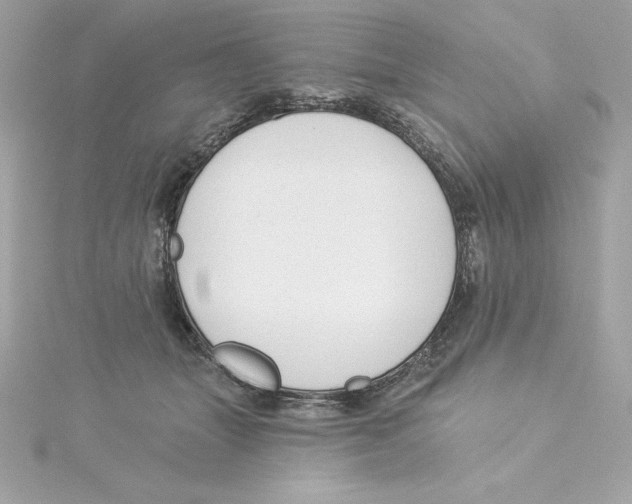 X0000115230463200911271826