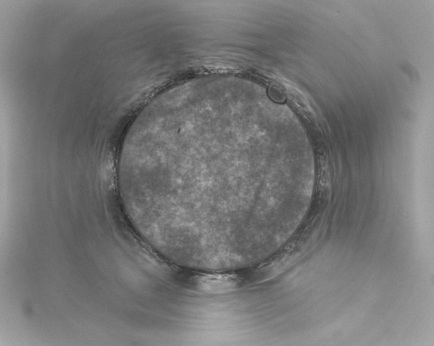 X0000115230465200911271826