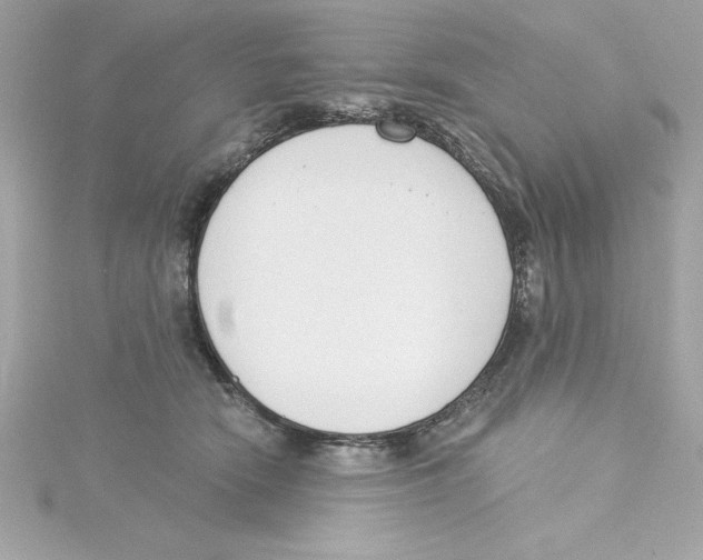 X0000115230466200911271826