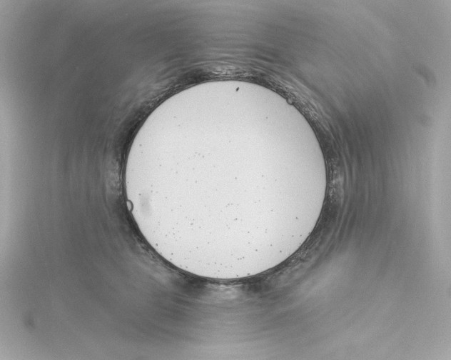 X0000115230469200911271826