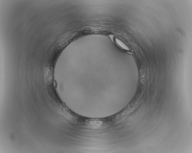 X0000115230471200911271826