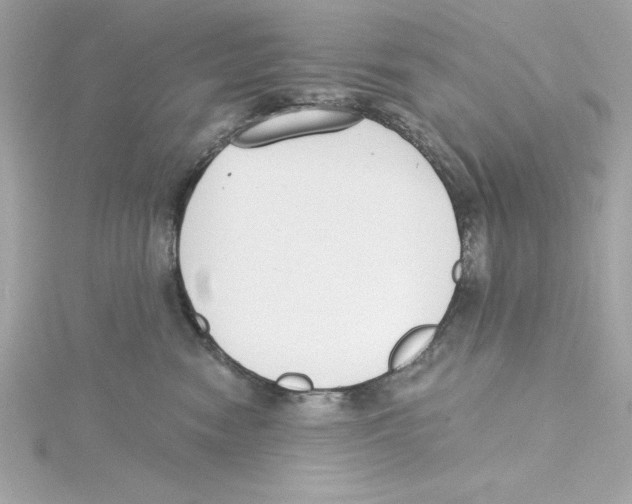 X0000115230474200911271826