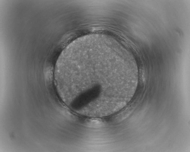 X0000115230475200911271826