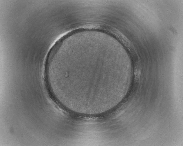 X0000115230484200911271825