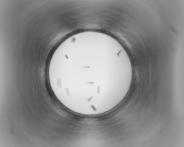 X0000115230487200911271825