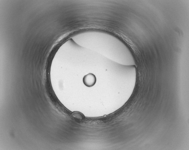 X0000115230488200911271825