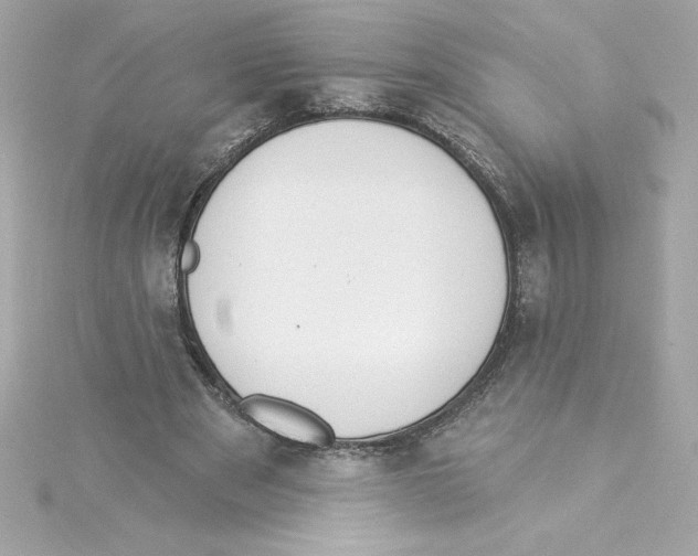 X0000115230489200911271825