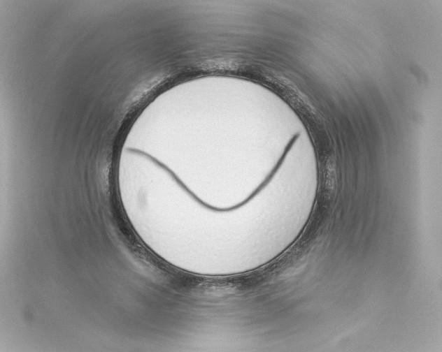 X0000115230491200911271825