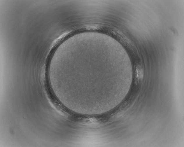 X0000115230492200911271825