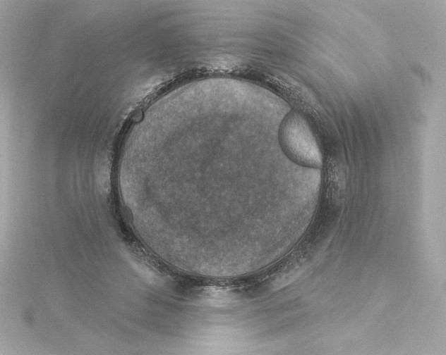 X0000115230496200911271825