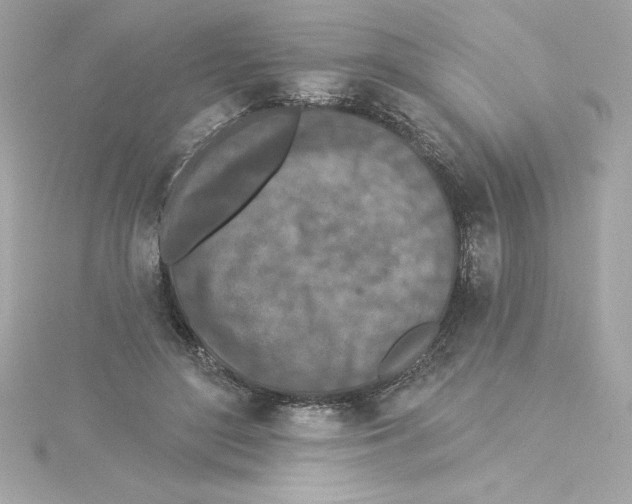 X0000115230500200911271825